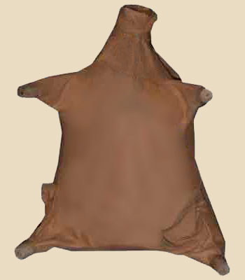 Бурдюк Бурдюк