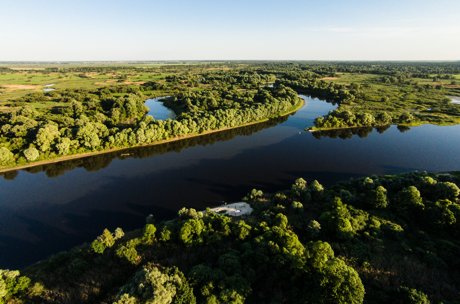 Ольманские болота