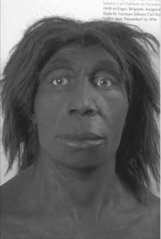 Homo neanderthalensis Человек Европа и Западная Азия, 400-30 тысяч лет назад