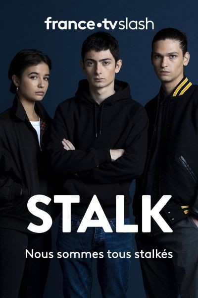 Сериал Киберсталкер Французский сериал Киберсталкер